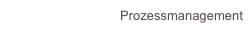 Prozessmanagement