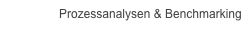 Prozessanalysen & Benchmarking